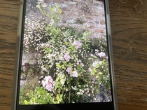 User post image