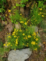 User post image