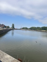 User post image