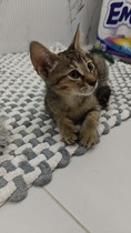 User post image