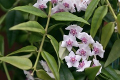 User post image