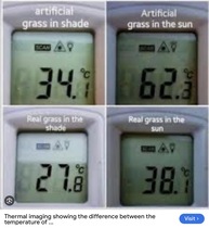 User post image
