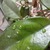 User post image