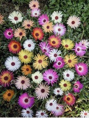 User post image