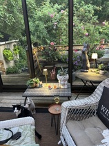 User post image