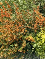 User post image