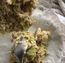 User post image